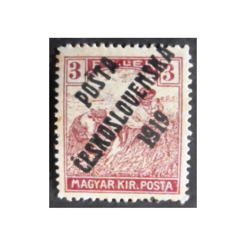 Selo postal da Tchecoslováquia de 1919 Hungarian Stamps overprint