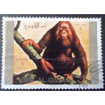 Selo postal de Umm Al Quwain de 1972 Sumatran Orangutan
