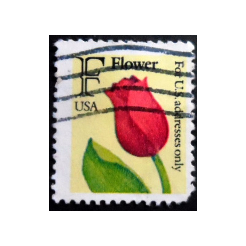 Selo postal dos Estados Unidos de 1991 - F Flower U A