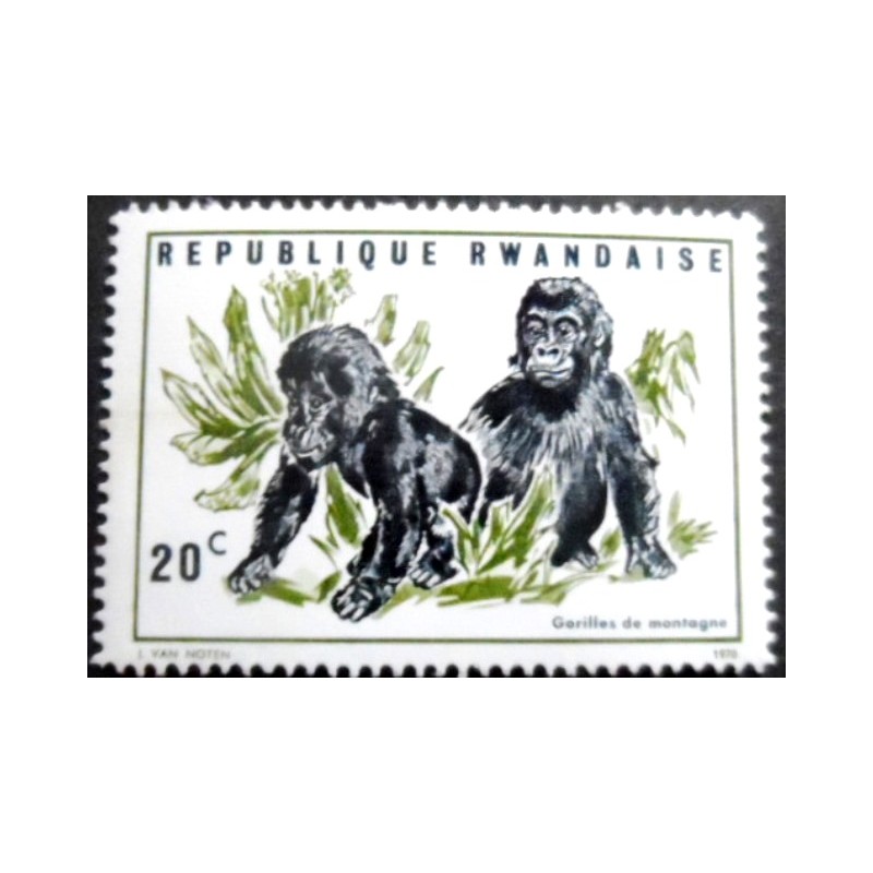 Selo postal da Ruanda de 1970 Mountain Gorilla