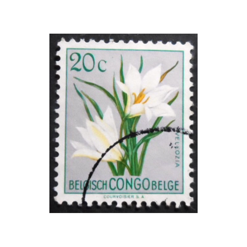 Selo postal do Congo Belga de 1952 Vellozia aequatorialis U