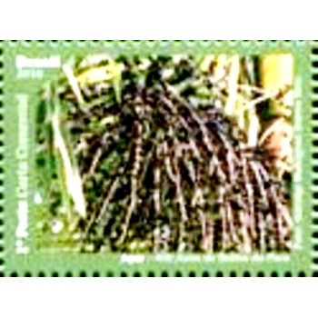 Selo da postal do Brasil de 2016 Açaí