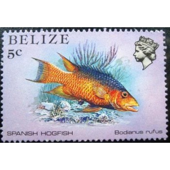 Imagem do Selo postal de Belize de 1984 Spanish Hogfish