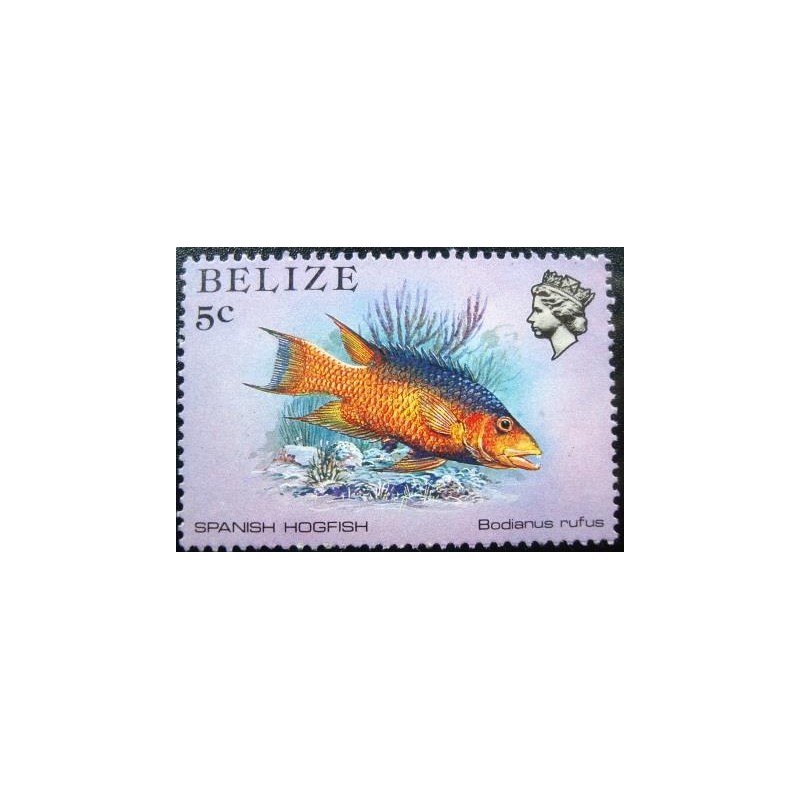 Imagem do Selo postal de Belize de 1984 Spanish Hogfish