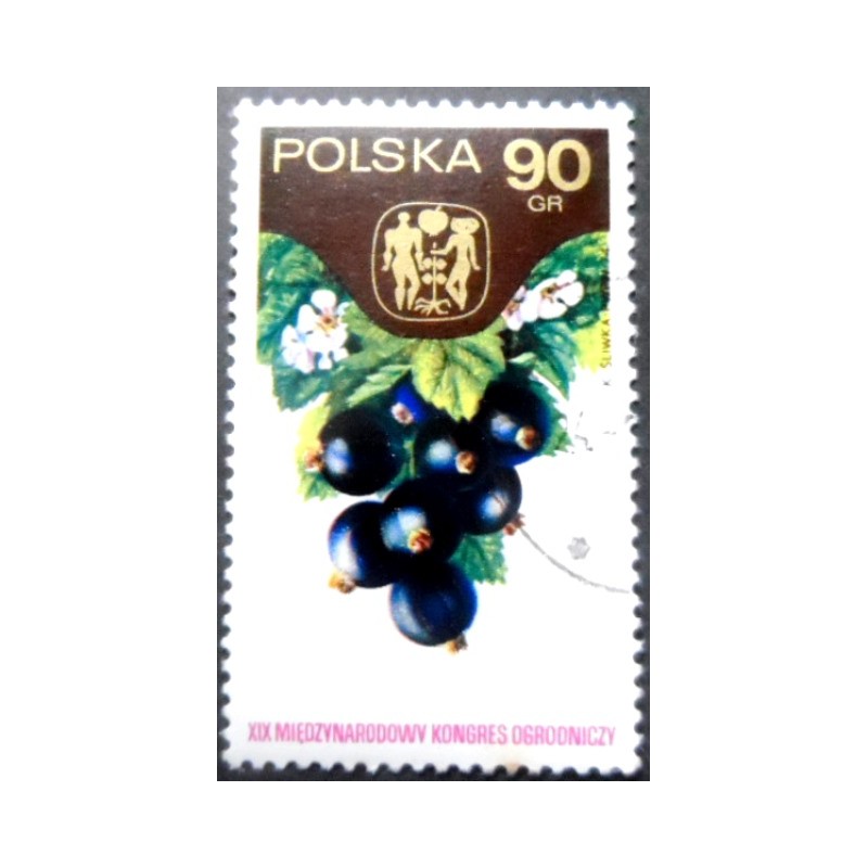 Selo postal da Polônia de 1974 Black Currants MCC