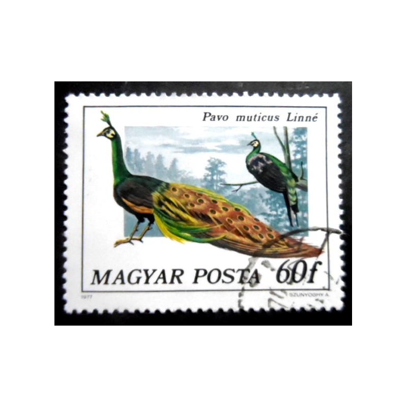 Selo postal da Hungria de 1977 Green Peafowl