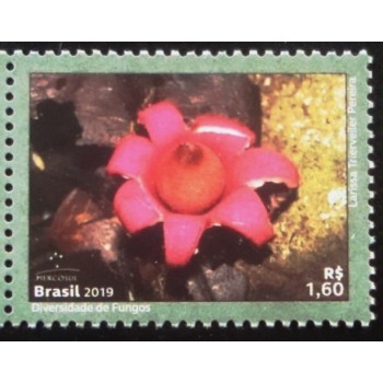 Selo postal do Brasil de 2019  Geastrum Violaceum