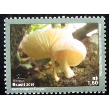 Selo postal do Brasil de 2019 Oudemansiella Cubensis