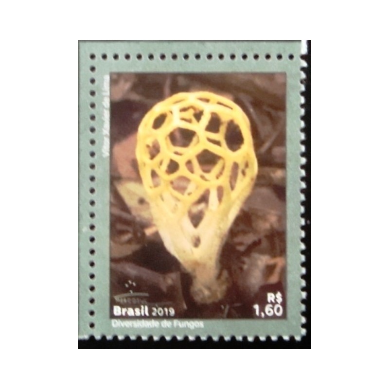 Selo postal do Brasil de 2019 Clathrus Chrysomycelinus