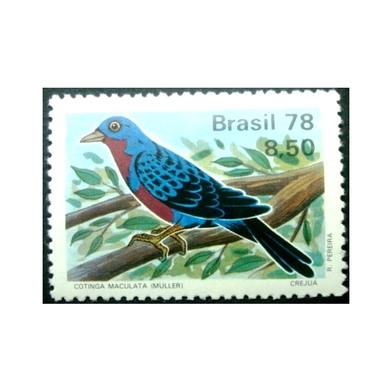 Selo postal do Brasil de 1978 Cotinga M