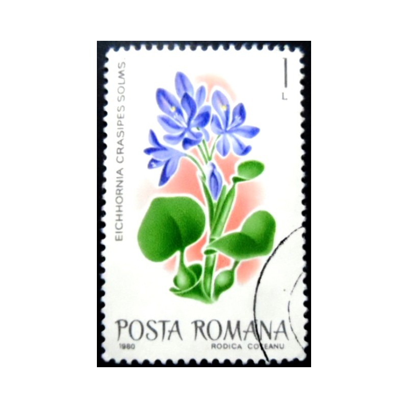 Selo postal da Romênia de 1980 Common Water Hyacinth MCC