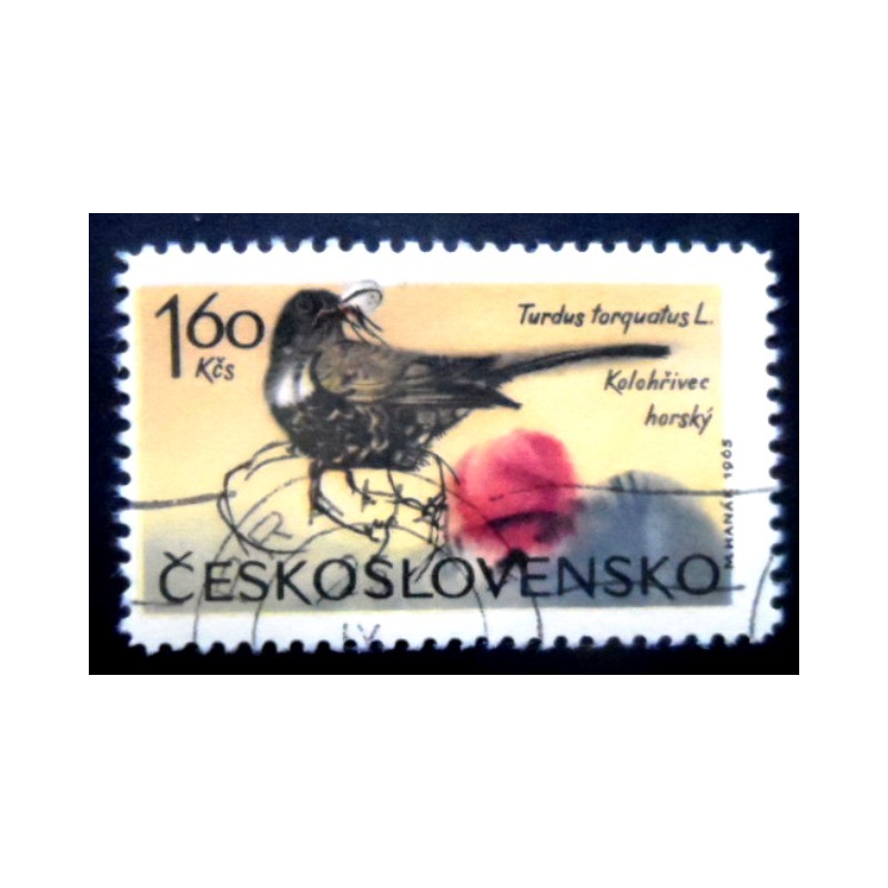 Selo postal da Tchecoslováquia de 1965 Ring Ouzel