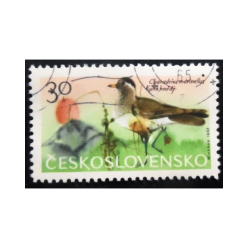 Selo postal da Tchecoslováquia de 1965 Eurasian Dotterel