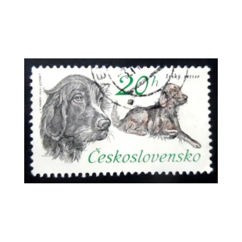 Selo postal da Tchecoslováquia de 1973 Irish Setter