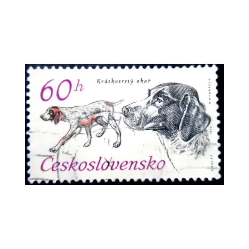 Selo postal da Tchecoslováquia de 1973 German Short-haired Pointer