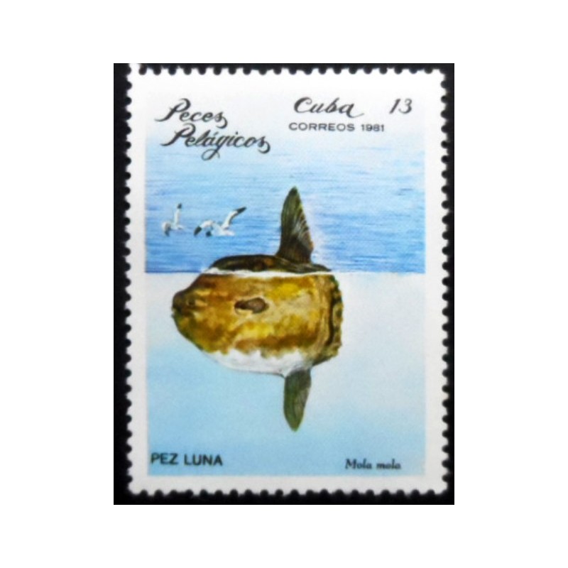 Selo postal de Cuba de 1981 Ocean Sunfish