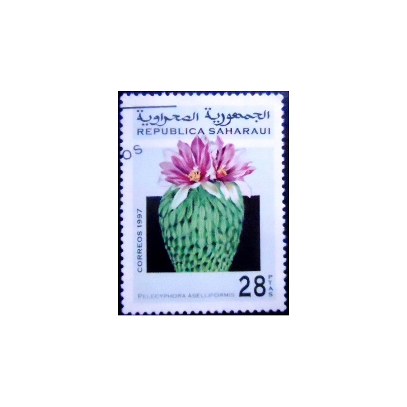 Imagem do Selo postal da Saharaui de 1997 Hatchet Cactus