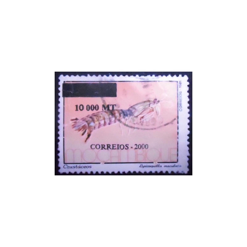 Imagem similar à do Selo postal de Moçambique de 2000 Zebra Mantis Shrimp
