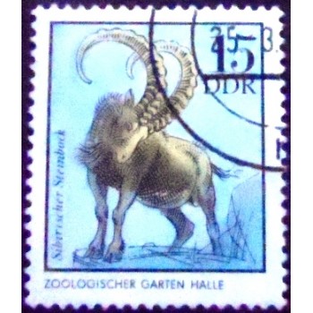 Imagem do Selo postal da Alemanha Oriental de 1975 Siberian Ibex  MCC