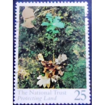 Imagem do Selo postal do Reino Unido de 1995 Oak Seedling