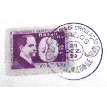 Folhinha postal Comemorativa do Brasil de 1959 Pirajá da Silva 1
detalhe