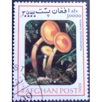 Imagem do Selo postal do Afeganistão de 1999 Sheathed woodtuft