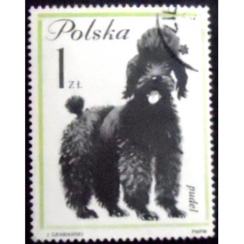 Selo postal da Polônia de 1963 French Poodle