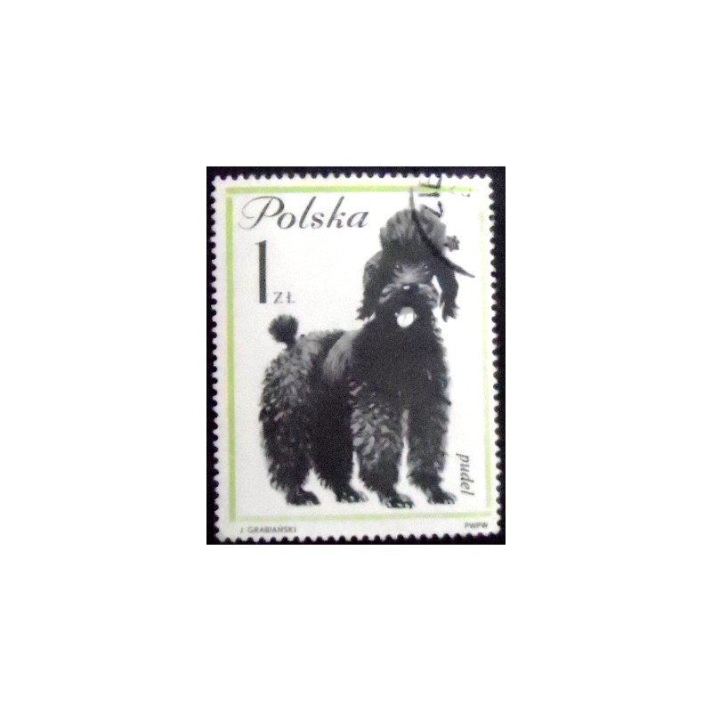 Selo postal da Polônia de 1963 French Poodle