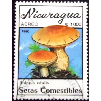 Selo postal da Nicarágua de 1990 Cep