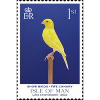 Imagem do selo postal da Ilha de Man de 2021 Fife Canary