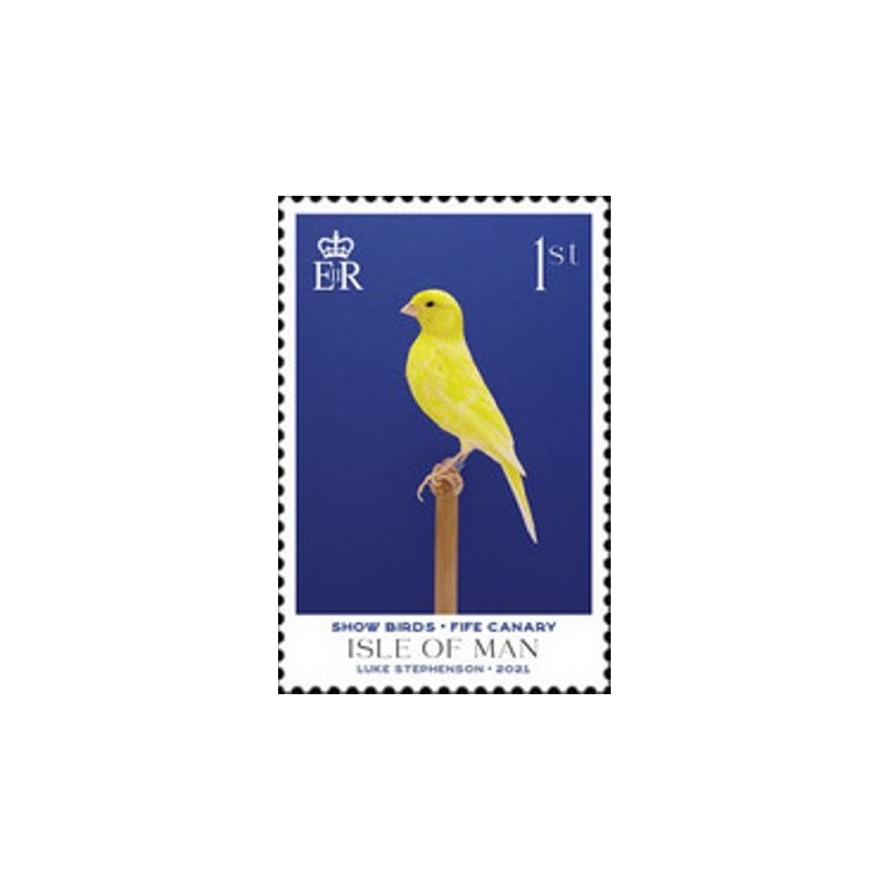 Imagem do selo postal da Ilha de Man de 2021 Fife Canary