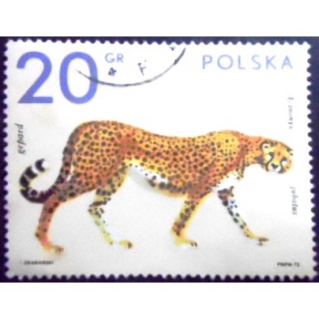 Imagem do selo postal da Polônia de 1972 Asian Cheetah