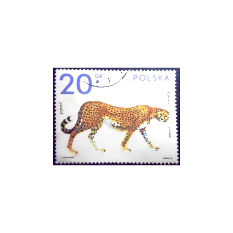 Imagem do selo postal da Polônia de 1972 Asian Cheetah