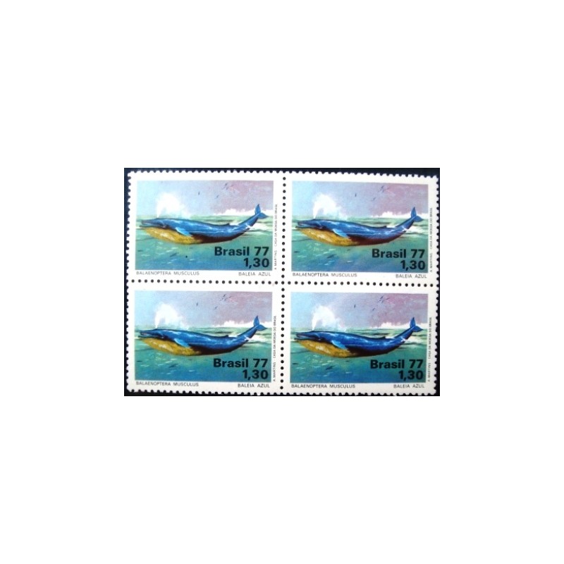 Quadra de selos postais do Brasil de 1977 Baleia Azul M