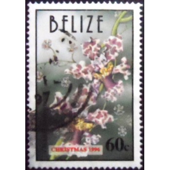 Imagem do selo postal de Belize de 1996 Orchids