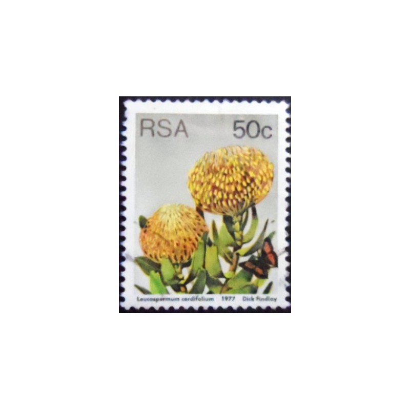 Imagem do selo postal da África do Sul de 1980 Leucospermum cordifolium