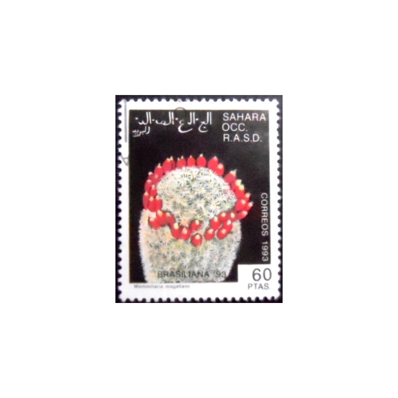 Imagem do selo postal Cinderela do Saara Ocidental de 1993 Mammillaria Magallanii