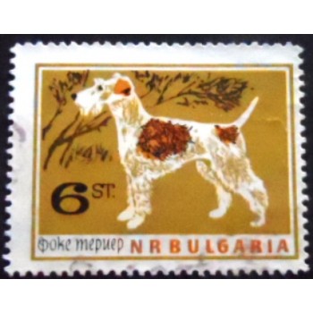 Imagem do selo postal da Bulgária de 1964 Wire-haired Fox Terrier