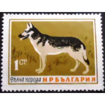 Selo postal da Bulgária de 1964 German Shepherd U