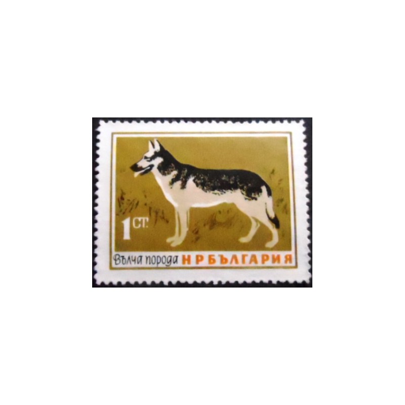 Selo postal da Bulgária de 1964 German Shepherd U